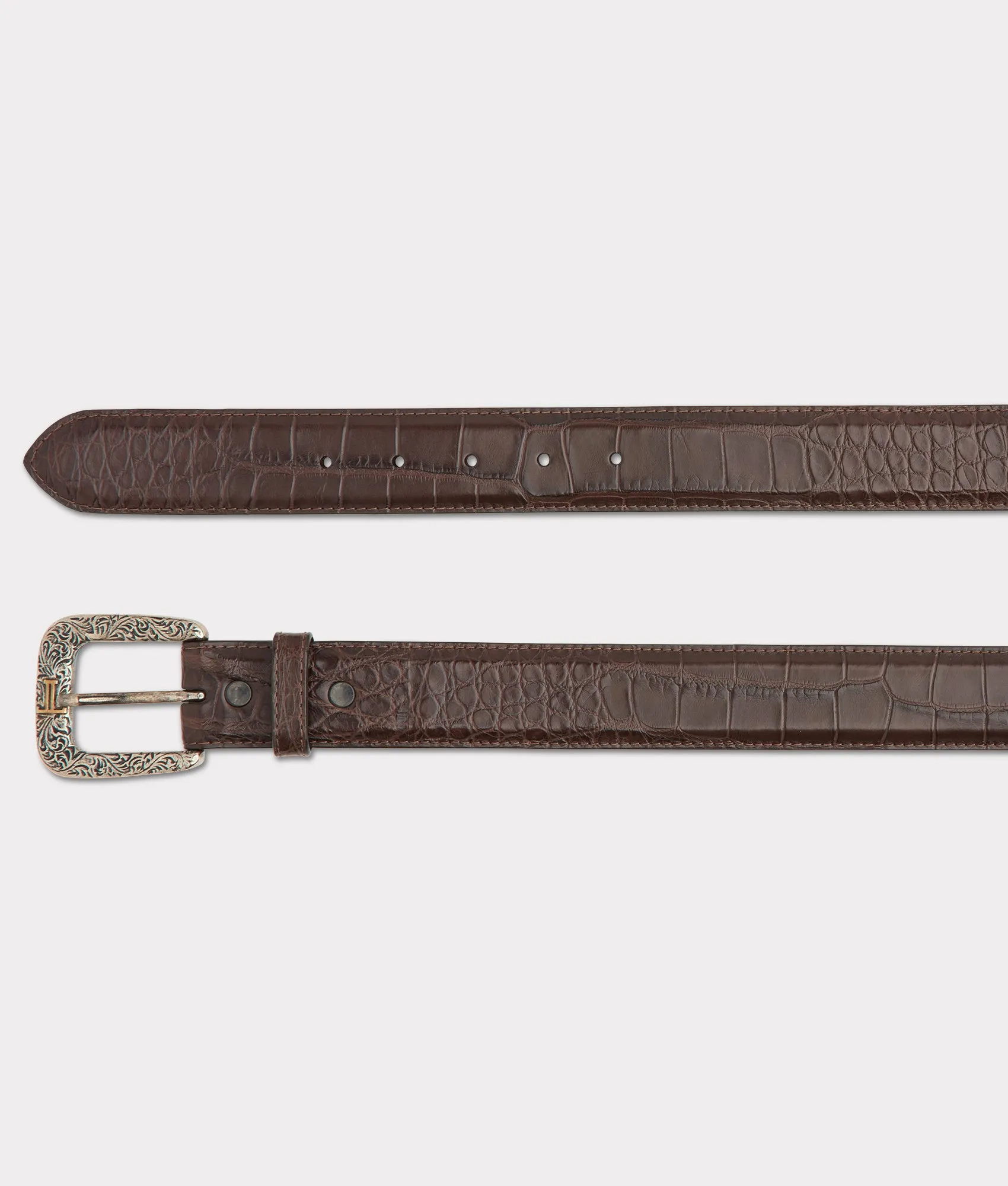 American Alligator :: Chocolate