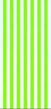 Beach Towels - BLANK