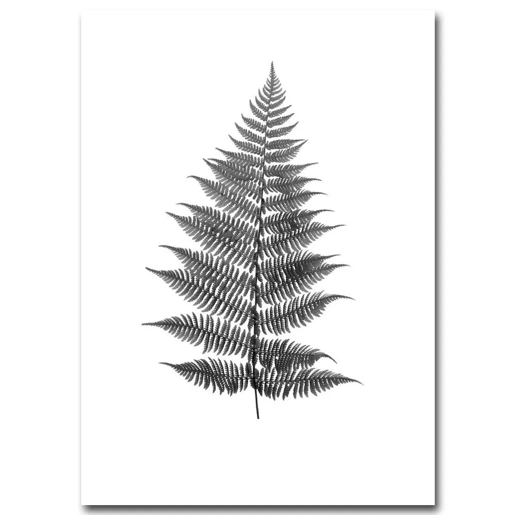 Black White Deer Dandelion Wall Art