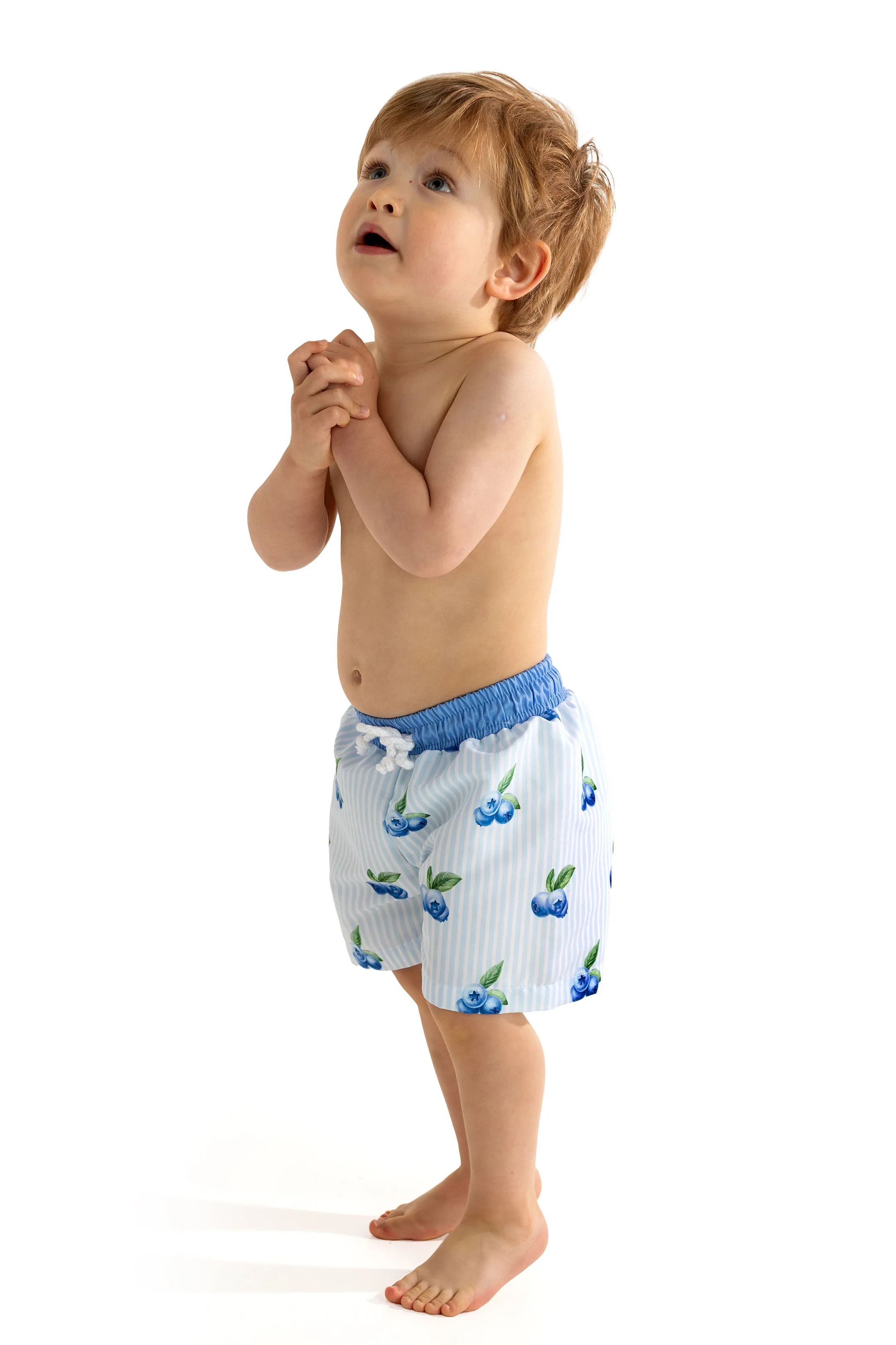 BLUEBERRIES Swim Shorts