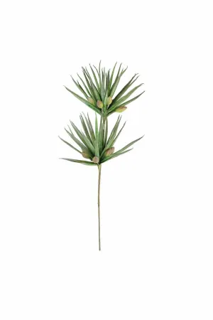 Botanica #3365 (Pack of 6)