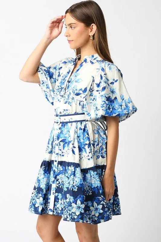 Garden Party Dress