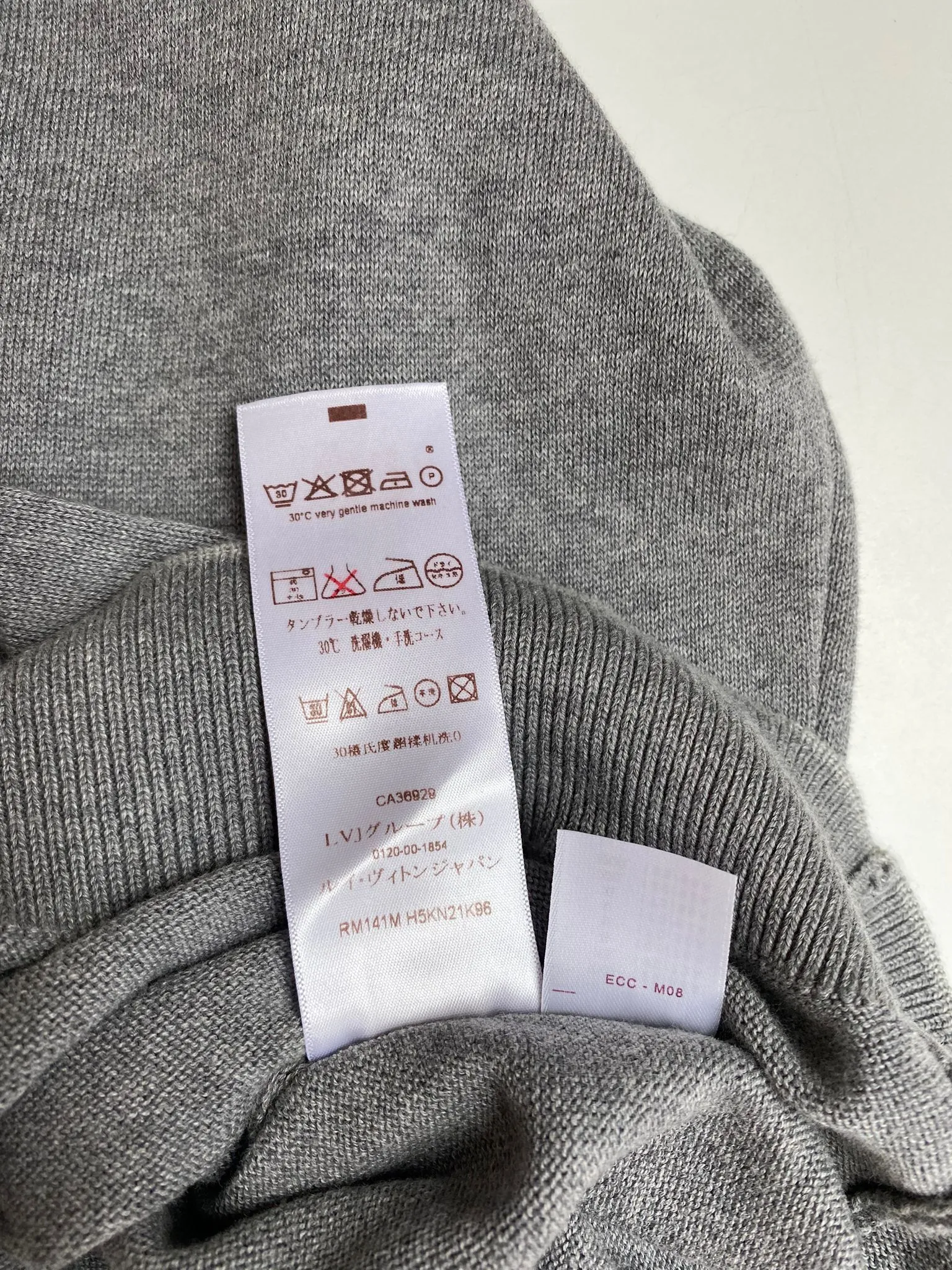 Hooded LV Pullover