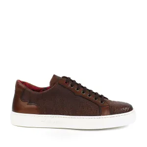 Jeffery West - Apolo Grain Leather Trainers in Brown