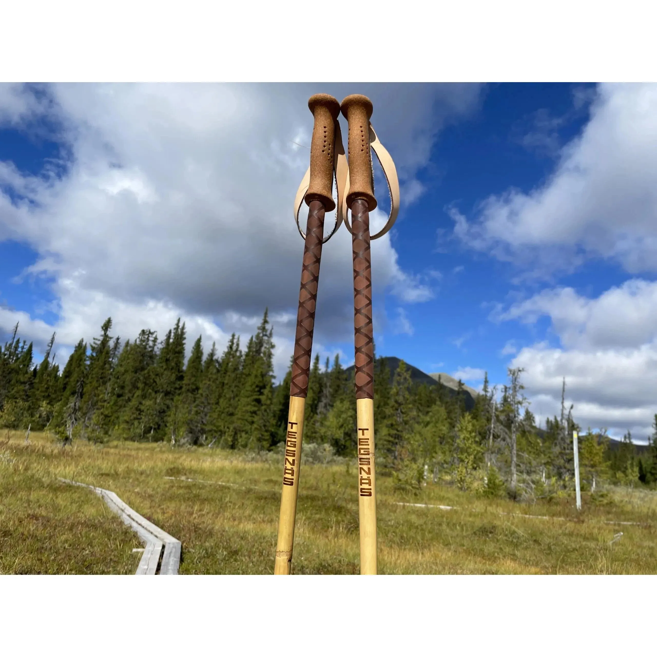Tegsnas Bamboo Poles
